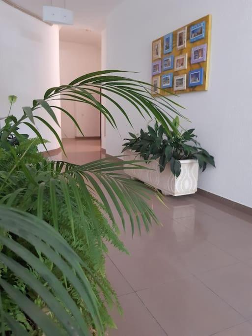 Apartamento Batalha - Quarteira, Algarve, Portugal Dış mekan fotoğraf