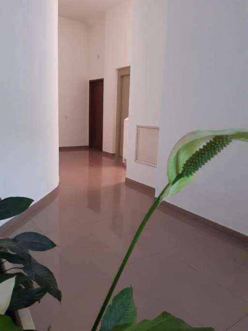 Apartamento Batalha - Quarteira, Algarve, Portugal Dış mekan fotoğraf